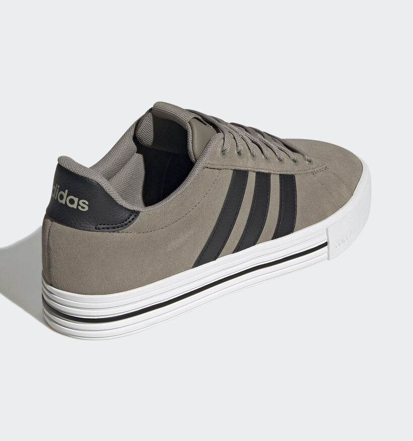 adidas Daily 4.0 Baskets basses en Vert Kaki pour hommes (372597)