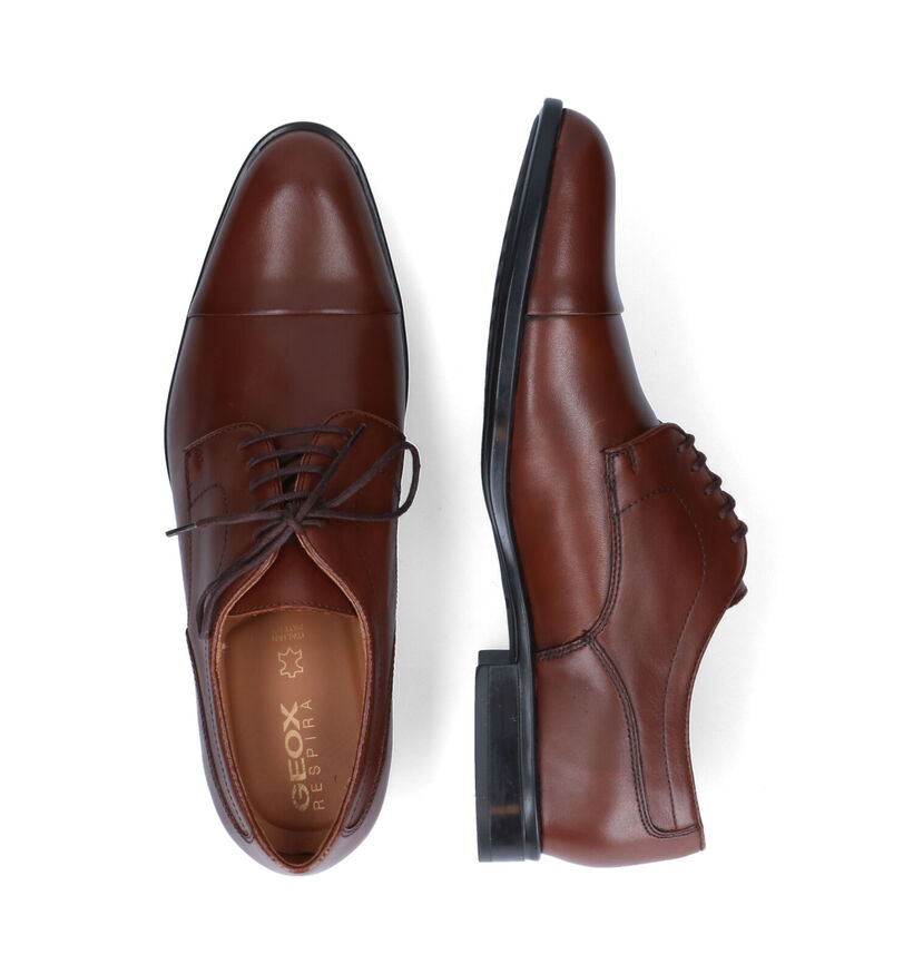 Geox Iacopo Cognac Geklede Veterschoenen in leer (315644)