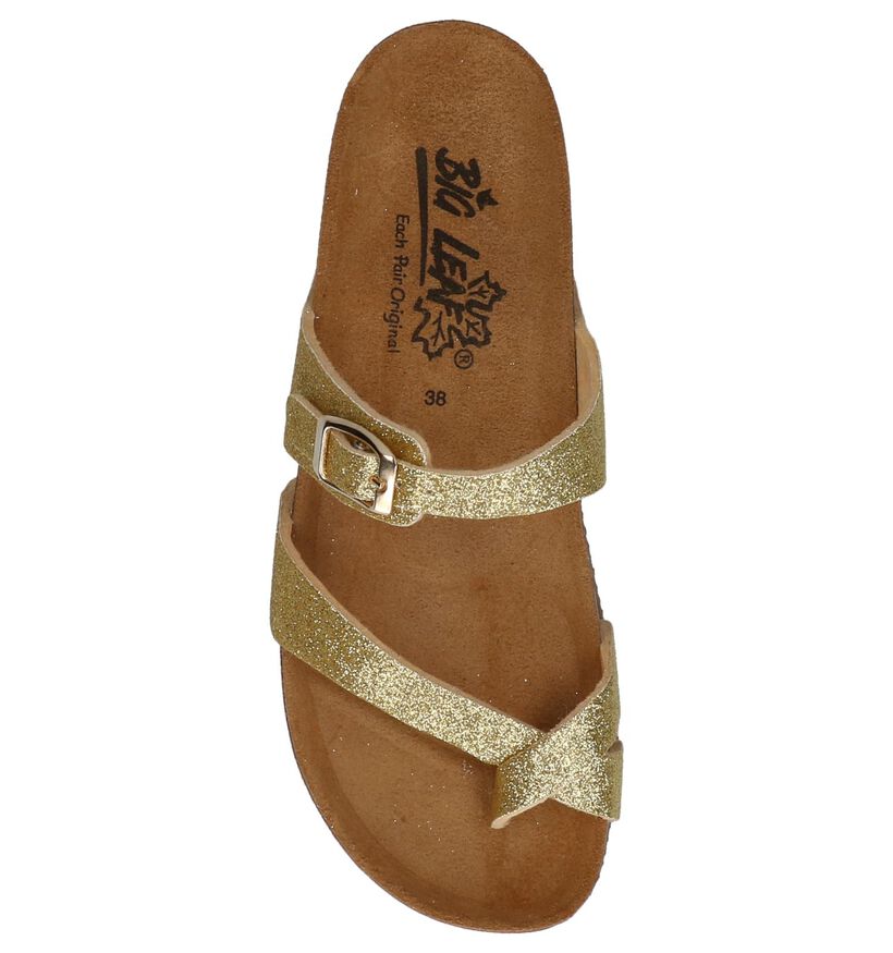 Elegante Slippers Goud Big Leaf in kunstleer (209652)