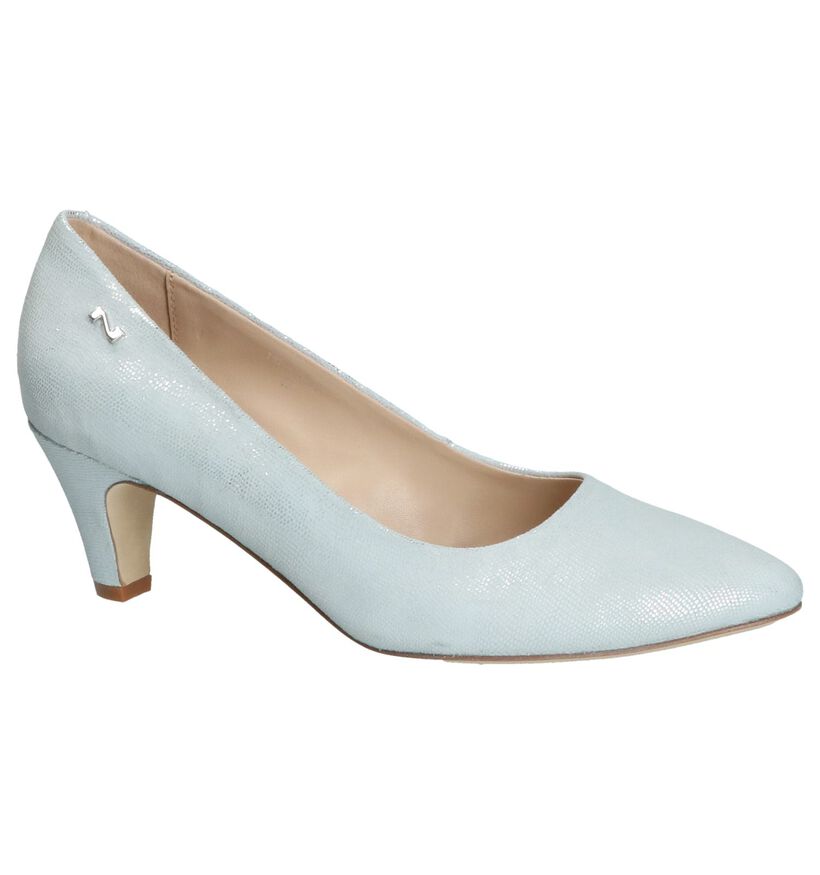 Nathan-Baume Escarpins classique en Argent en nubuck (246207)