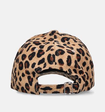 Dolce C. Casquettes Marron/Gris