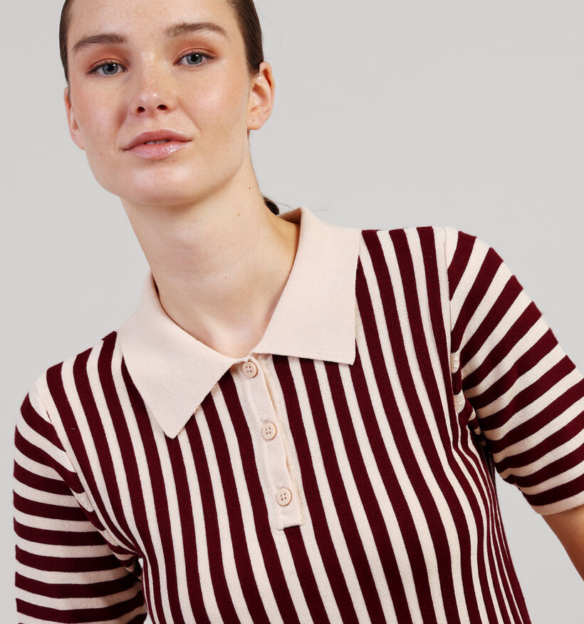 JDY Nola Beige/Zwarte Gestreepte Polo T-shirt voor dames (359935)