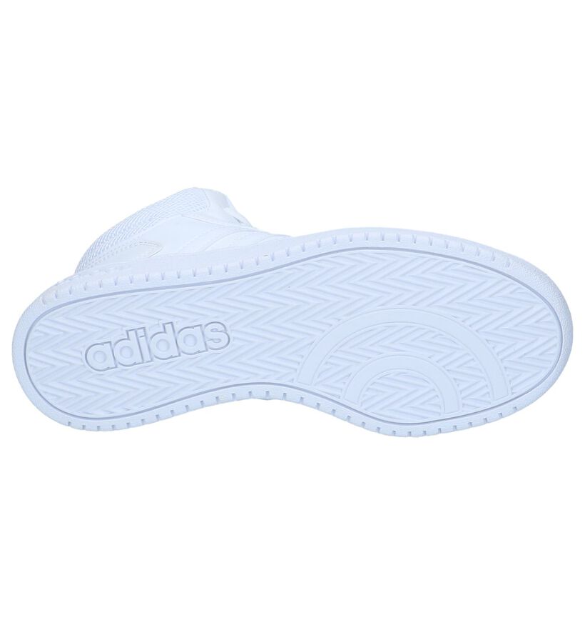 adidas Hoops Baskets en Blanc pour femmes (300158)