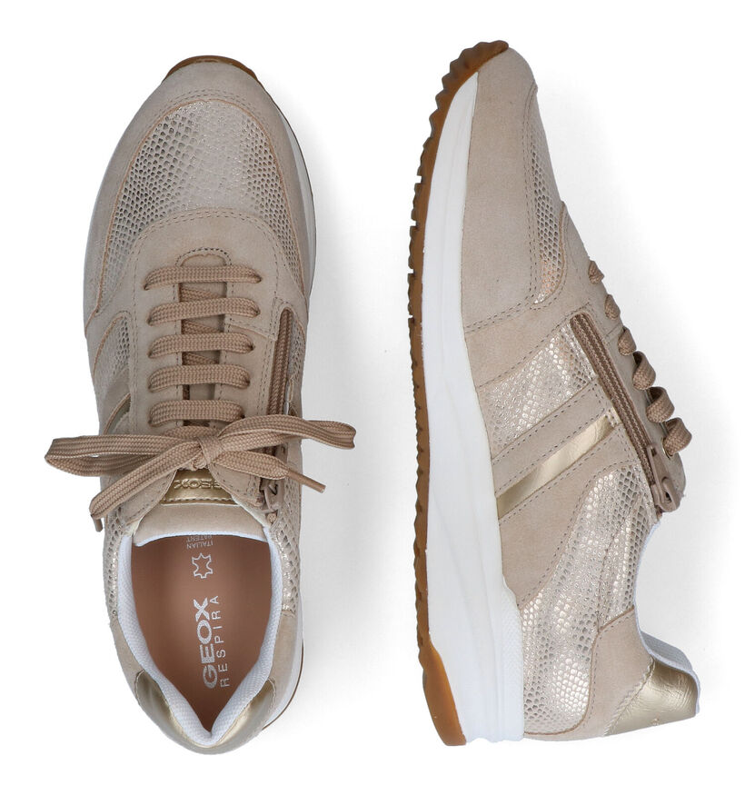 Geox Airell Beige Sneakers in daim (303646)