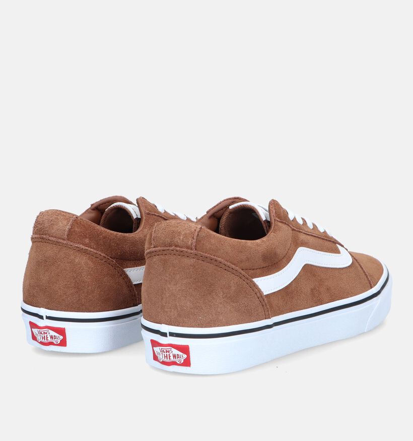 Vans Ward Baskets de skate en Brun pour hommes (328232)