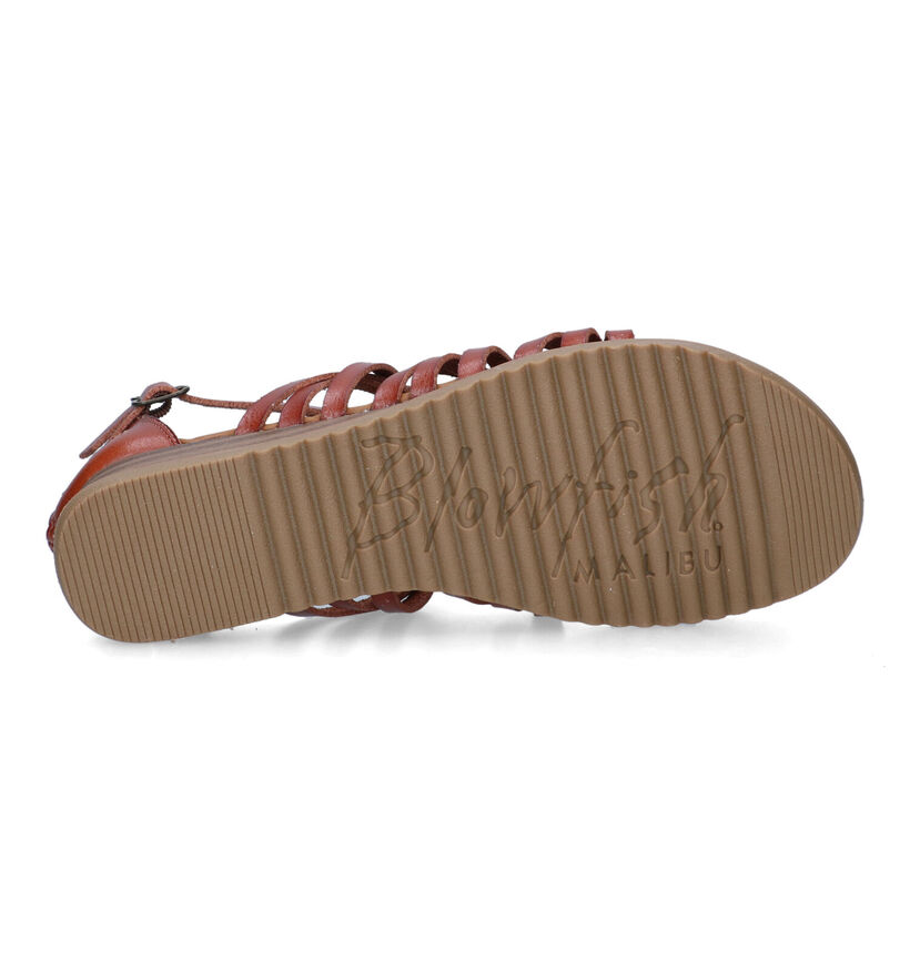 Blowfish Malibu Bloomy Cognac Sandalen voor dames (322142)