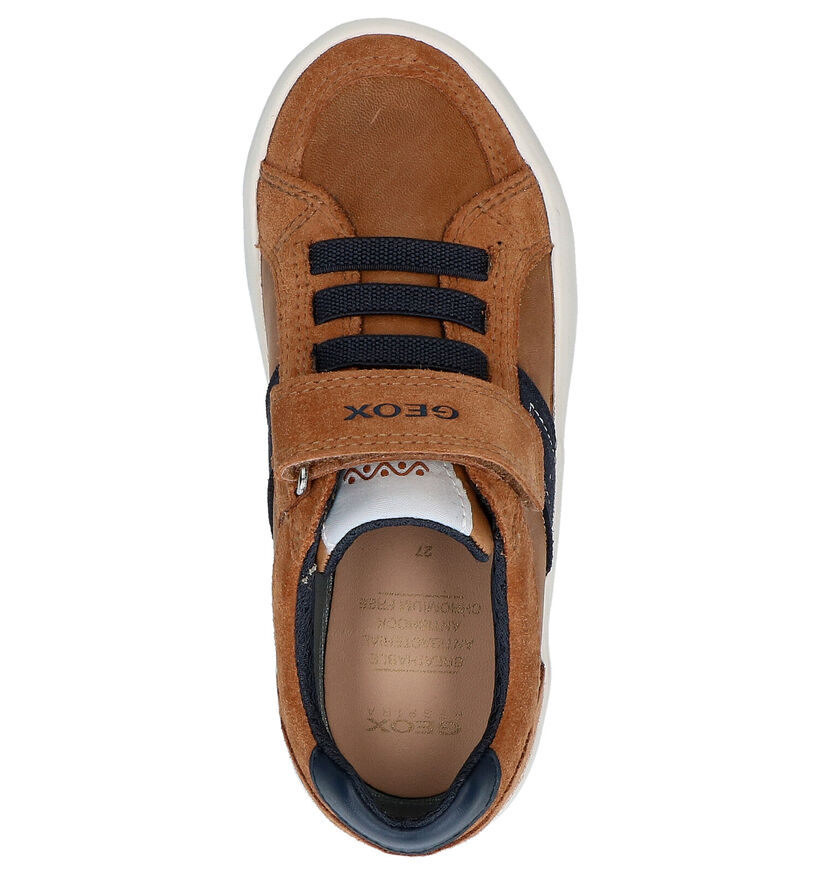 Geox Cognac Lage Sneakers in leer (265804)