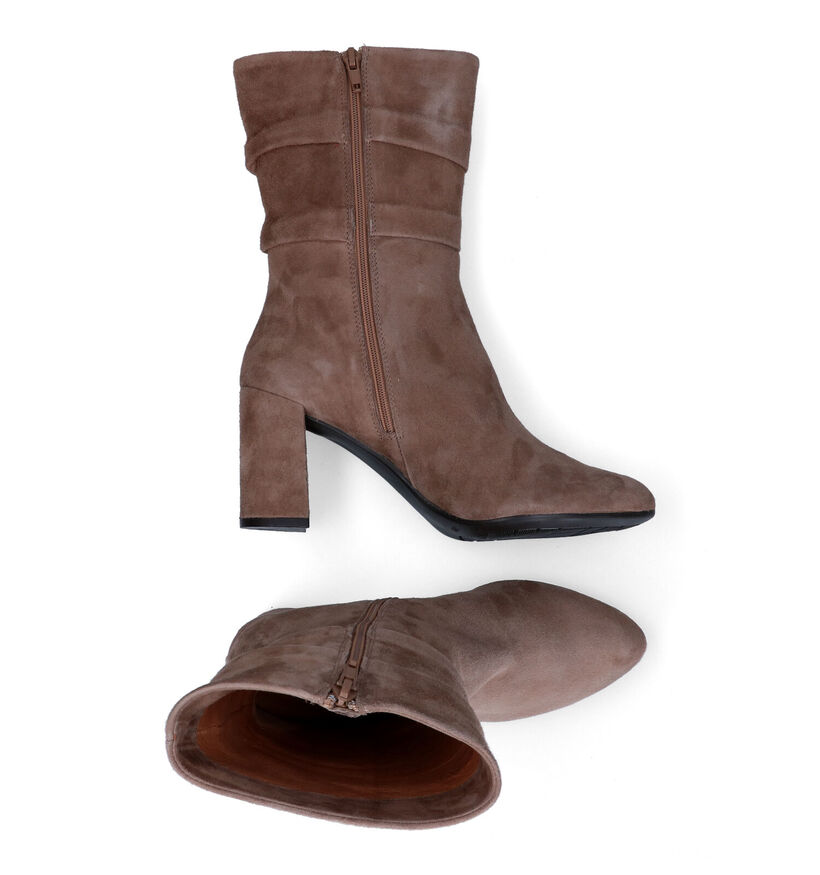 Signatur Bottes courtes en Taupe pour femmes (308200)