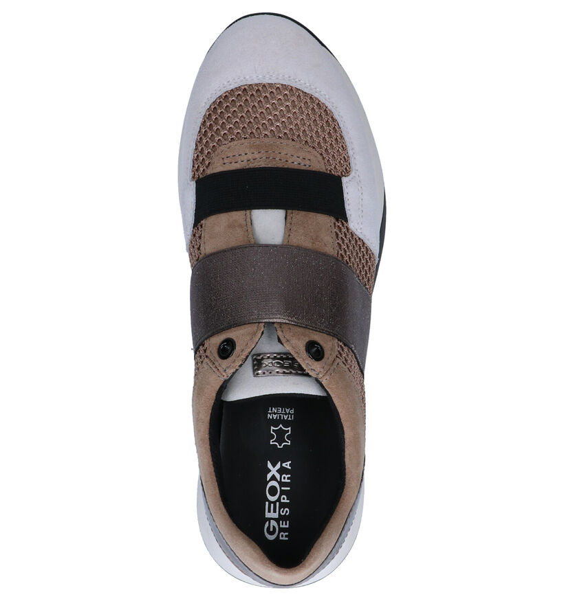 Geox Baskets basses en Beige en textile (255281)