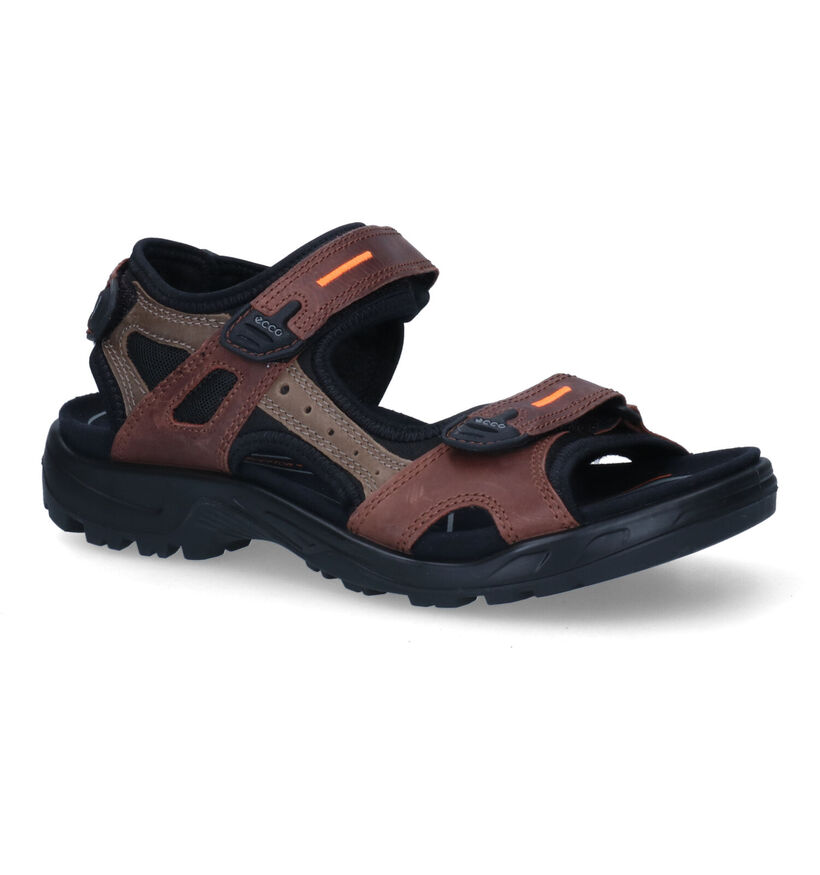 ECCO Yucatan Sandales en Taupe pour hommes (306675)