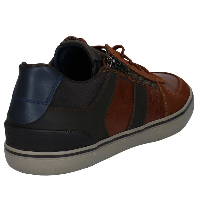 Geox Elver Chaussures basses en Brun en simili cuir (285142)
