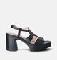 Wonders Zwarte Sandalen met blokhak voor dames (357831)