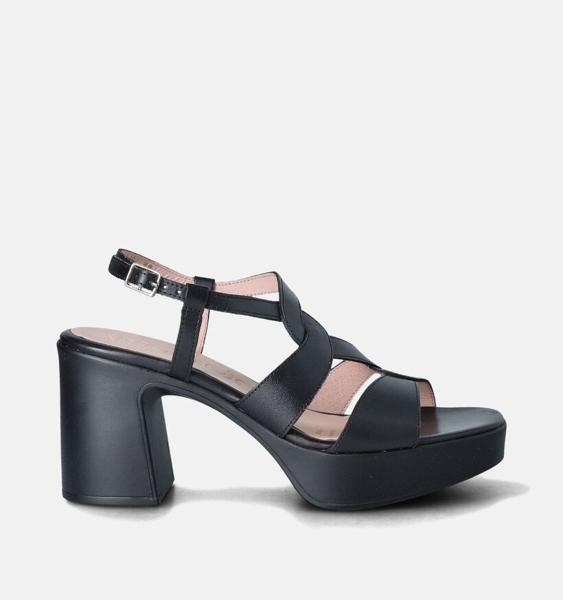 Wonders Zwarte Sandalen met blokhak voor dames (357831)