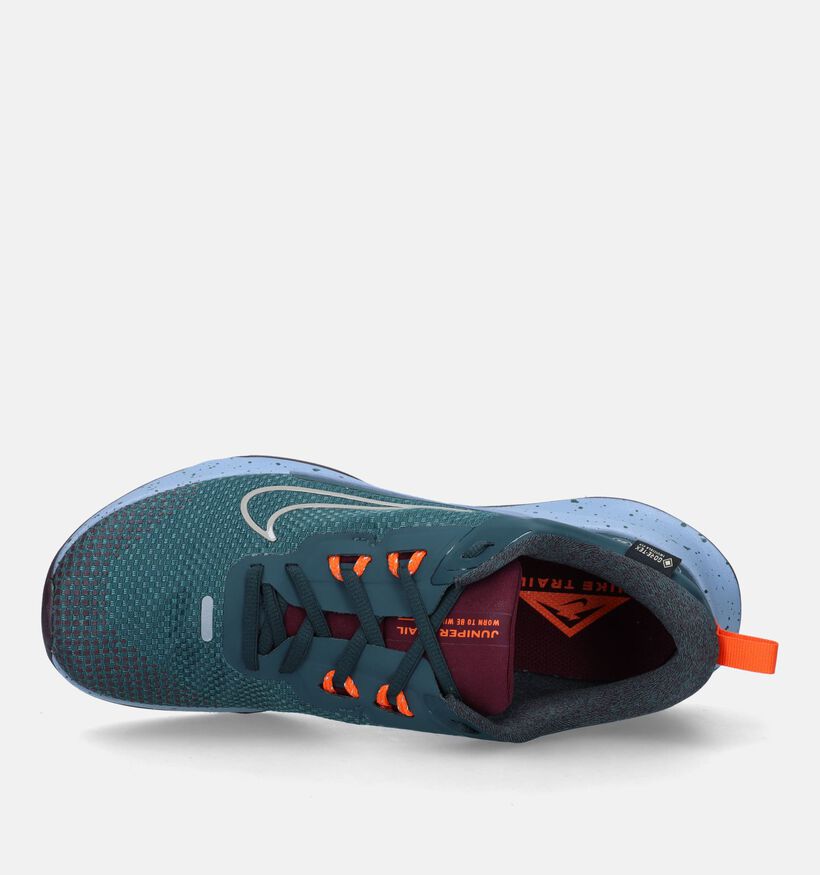 Nike Juniper Trail 2 GTX Groene Loopschoenen voor heren (332515)