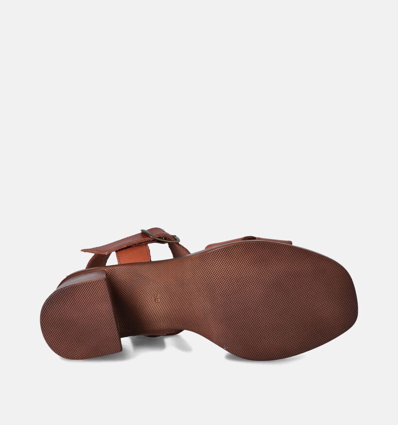 Hee Cognac Sandalen met blokhak voor dames (354794)