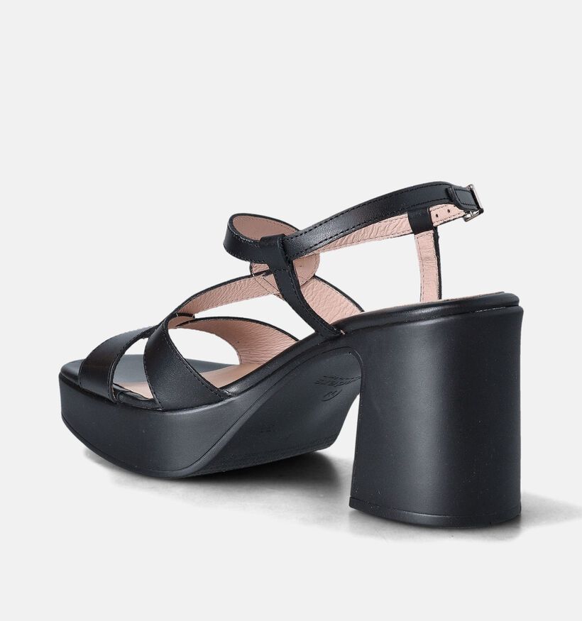 Wonders Zwarte Sandalen met blokhak voor dames (357831)