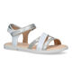 Geox Karly Witte Sandalen voor meisjes (325562)