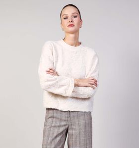 Vila Hayden Embroidery Knit Pull en Beige pour femmes (365602)
