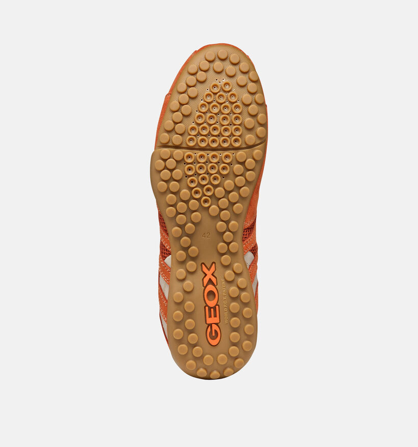 Geox Snake Original Baskets en Orange pour hommes (367982) - pour semelles orthop&eacute;diques