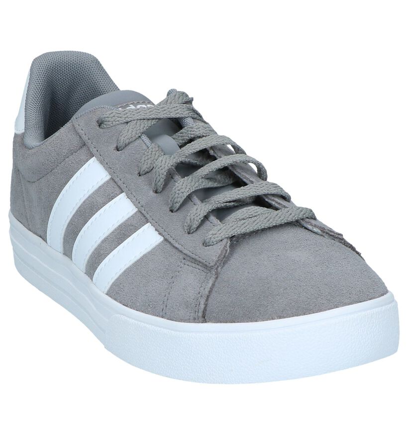 adidas Daily 2.0 Grijze Sneakers in kunstleer (264758)