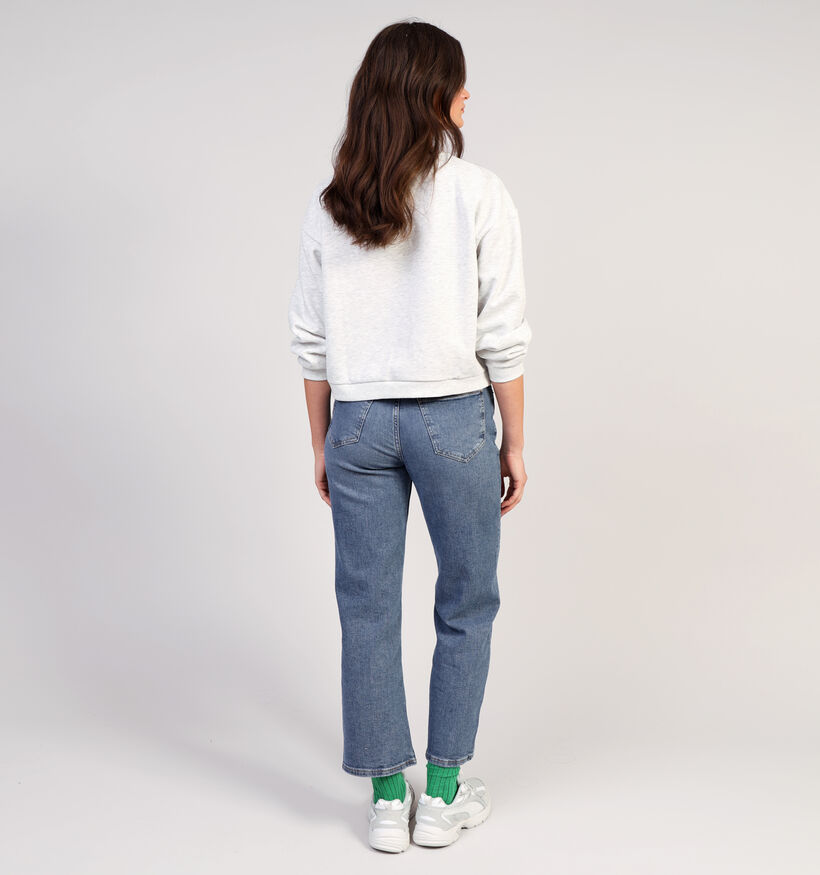 Vila Minna Grijze Sweater voor dames (353041)