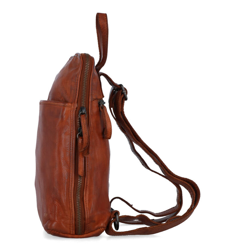Bear Design Sac à dos en noir pour femmes (342798)