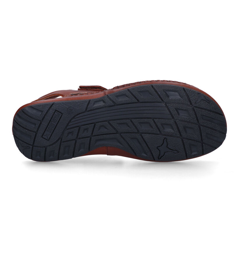 Pikolinos Tarifa Sandales en Cognac pour hommes (339802)