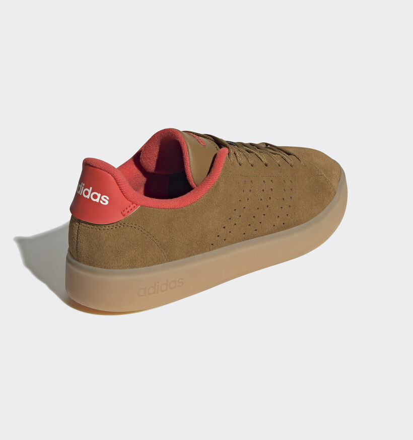 adidas Advantage 2.0 Baskets en Brun pour femmes (343337)