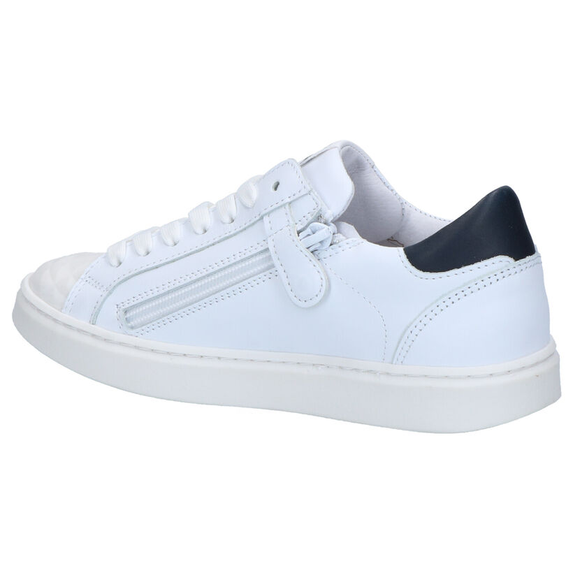 Hip Baskets basses en Blanc en cuir (266663)