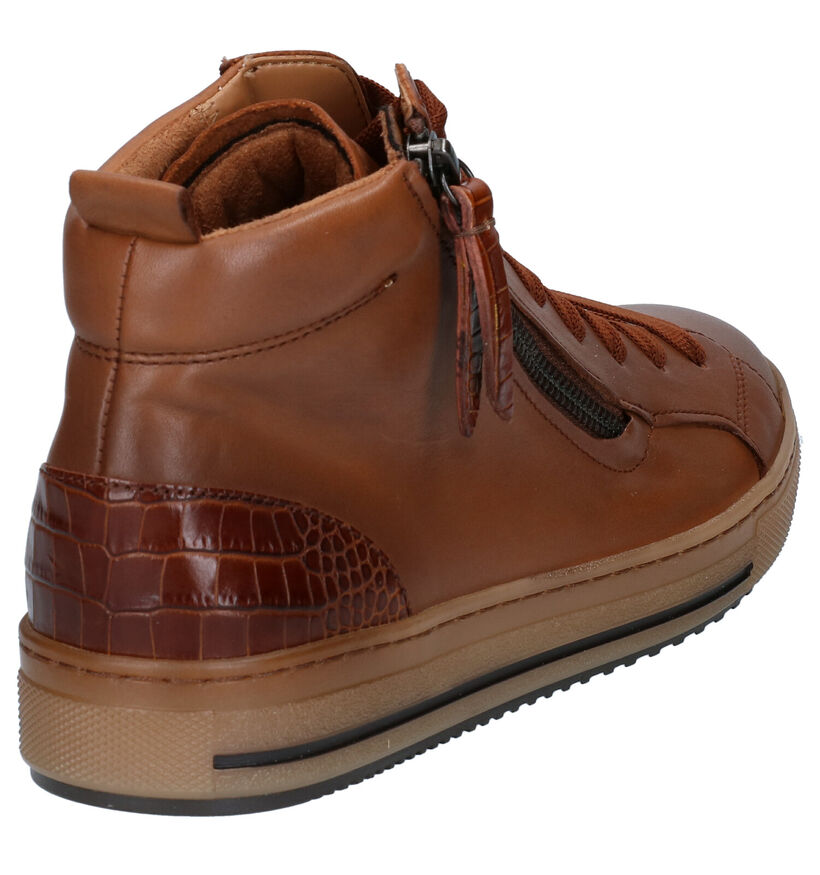 Gabor Optifit Bottillons en Cognac (282305)