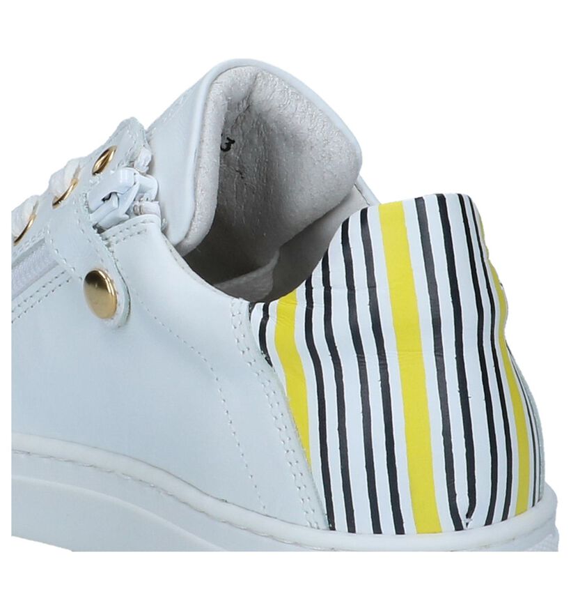 Witte Veterschoenen Hampton Bays in leer (245749)