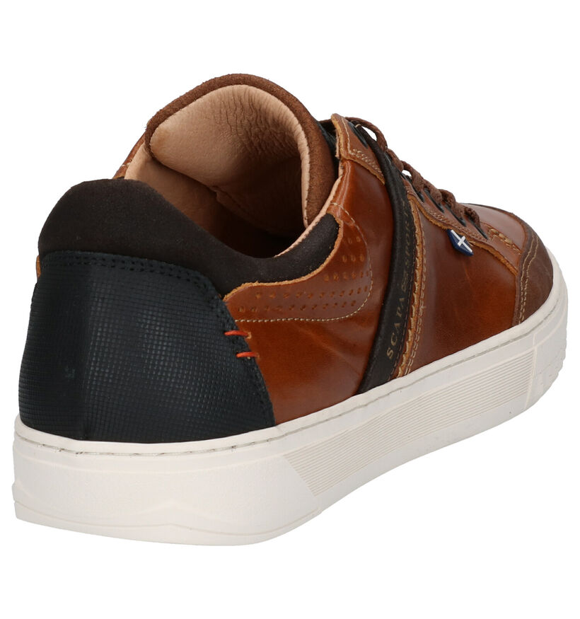 Scapa Cognac Sneakers in leer (298192)