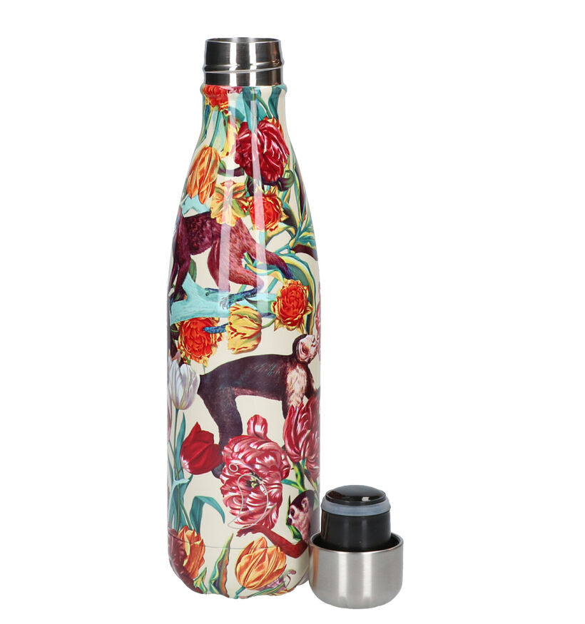 Chilly's x Tropical Monkey Gourde en Multicolor 500ml pour filles, femmes (283543)