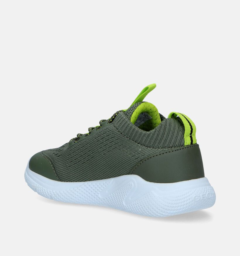 Geox Sprintye Blauwe Sneakers voor jongens (339641)