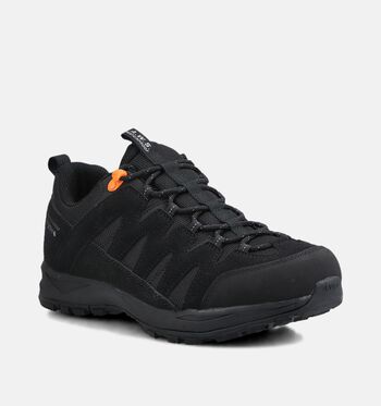 Icepeak Outdoorschoenen Zwart