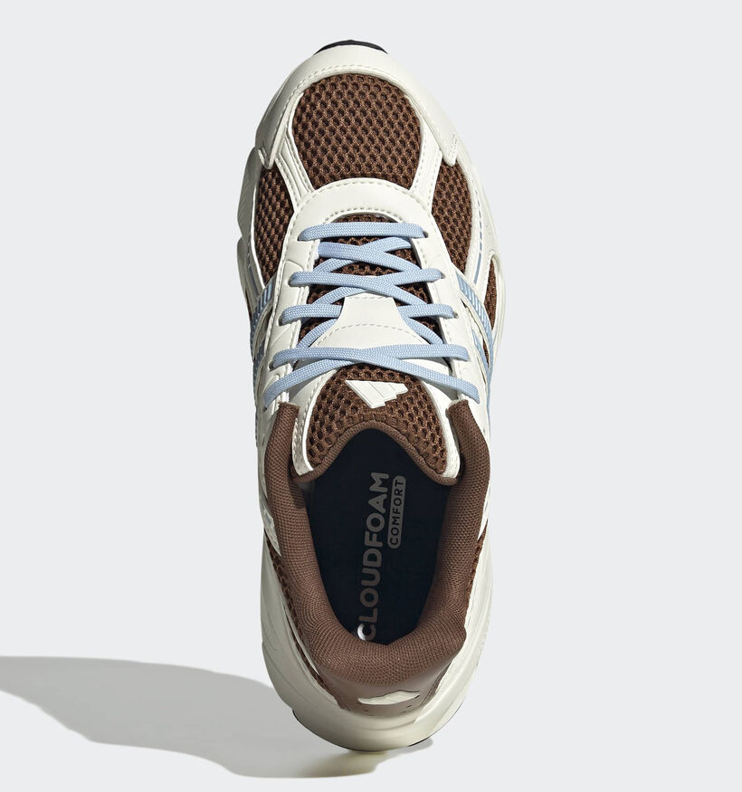 adidas Technochaos 2000 Baskets basses en Marron fonc&eacute;/Ecru pour femmes (380342)