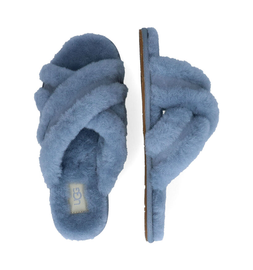 UGG Scuffita Blauwe pantoffels in wol (294501)