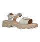 Bullboxer Zwarte Sandalen in kunstleer (325138)