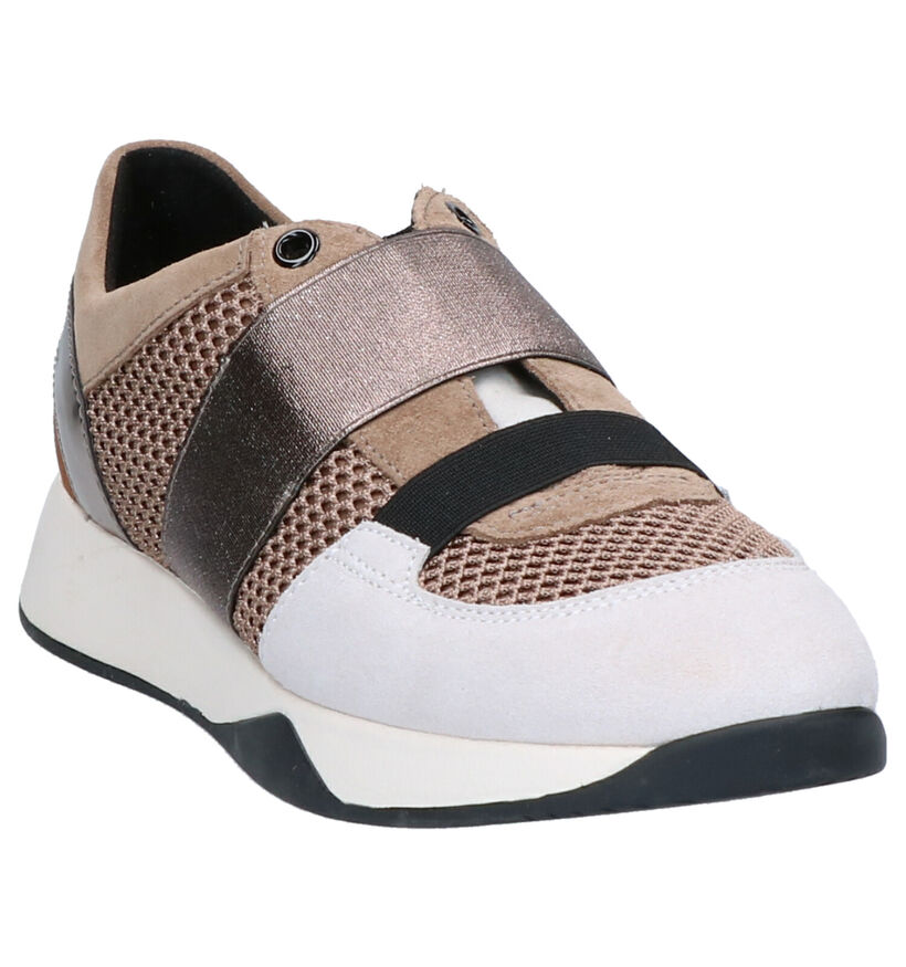 Geox Baskets basses en Beige en textile (255281)