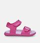 Geox Fusbetto Sandales en Fuchsia pour filles (339644)