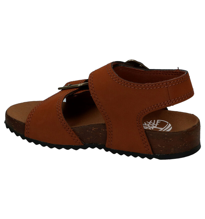 Timberland Castle Island Sandales en Cognac en textile (286215)