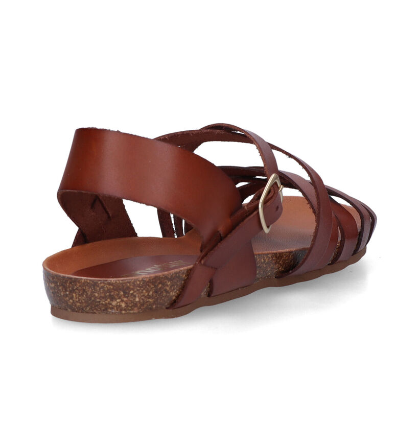 Signatur Cognac Sandalen voor dames (319778)