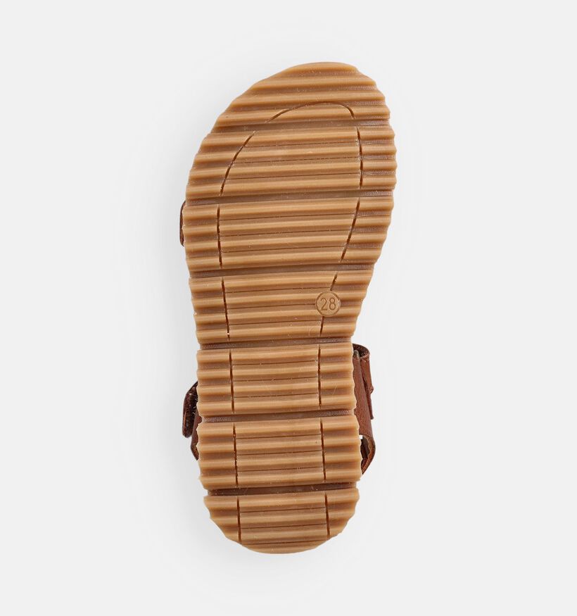 STONES and BONES Lotus Cognac Sandalen voor jongens (369647)