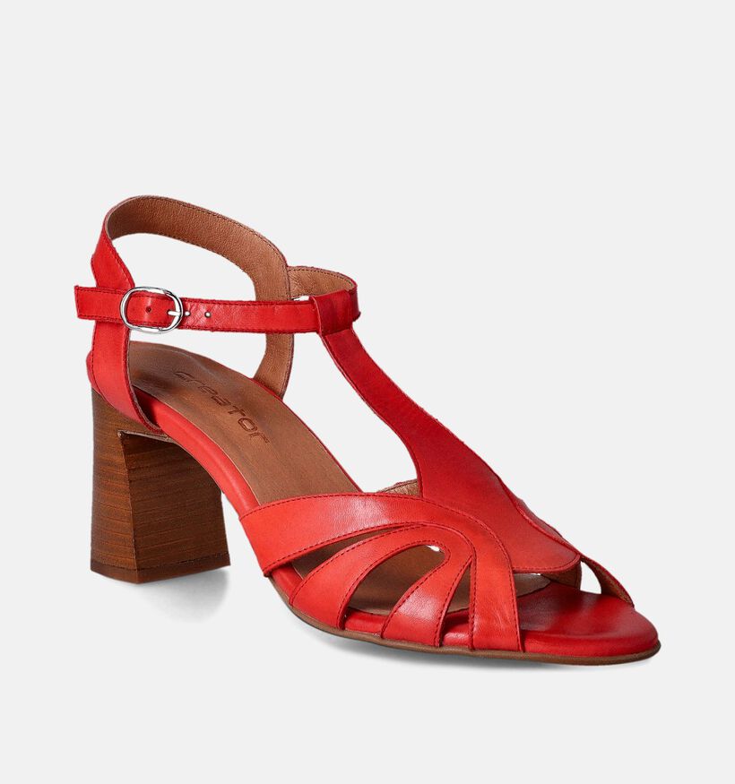 Creator Rode Sandalen met blokhak voor dames (357781)