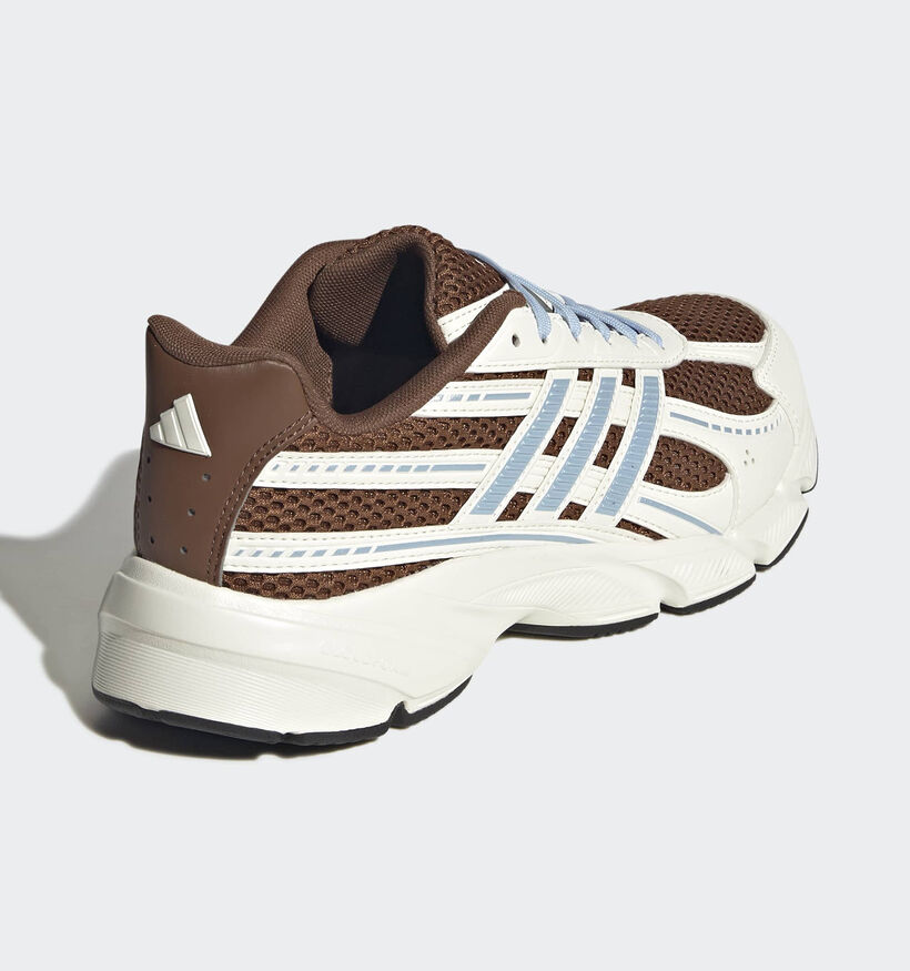 adidas Technochaos 2000 Baskets basses en Marron fonc&eacute;/Ecru pour femmes (380342)