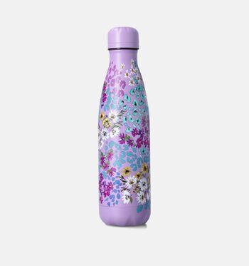 Gourde violet