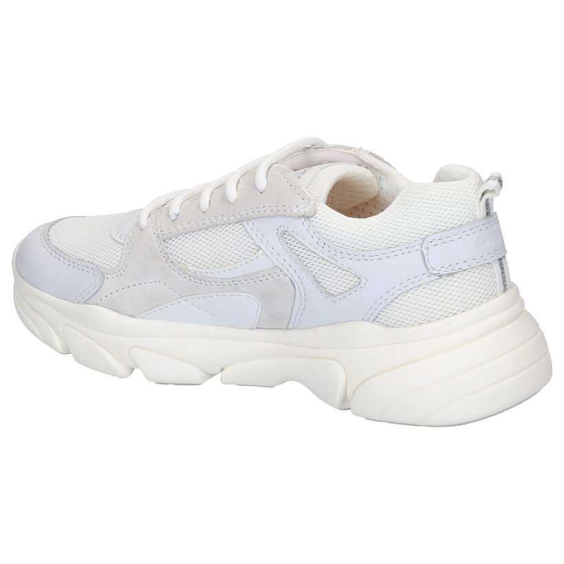 Geox Beige Sneakers in daim (265775)
