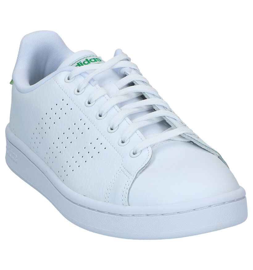 adidas Advantage Baskets en Blanc pour hommes (326322)