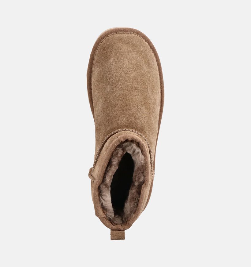 Warmbat Durack Bruine Boots voor dames (379655)