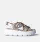 Gabor Roze Sandalen met Plateauzool voor dames (355088)